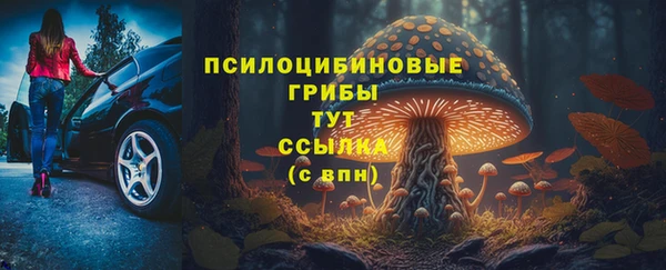 jwh Горняк