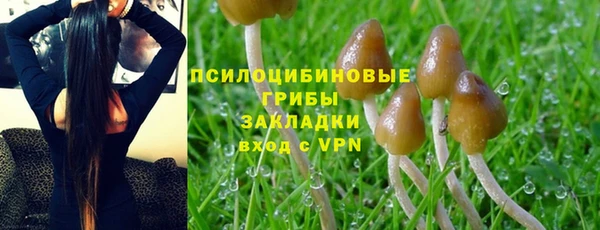 трава Горнозаводск