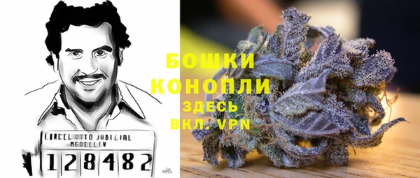 трава Горнозаводск