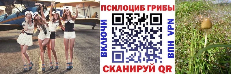 гидра ссылка  Невель  Галлюциногенные грибы мицелий 