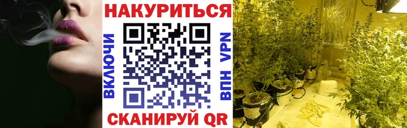 Конопля ГИДРОПОН  Невель 
